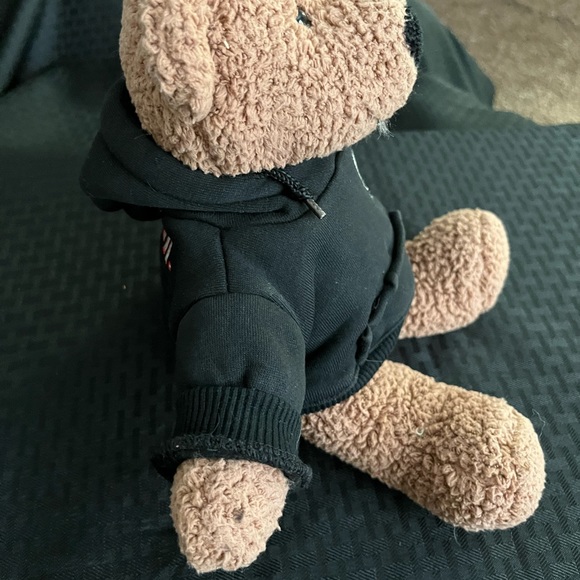 NASCAR # 8 Dale Earnhardt Jr. Stuffed Animal Plush Bear 12” - Picture 6 of 8